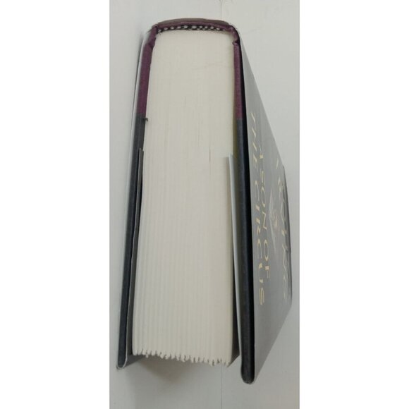 A Son of the Circus by John Irving – VG+ Literary Fiction Hardcover Book DJ - Picture 6 of 9